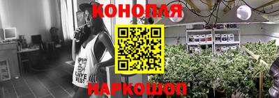 PSILOCYBIN Краснодар