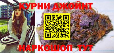 крисы Краснознаменск