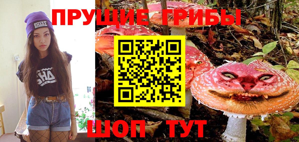 Вятские Поляны  Галлюциногенные грибы Magic Shrooms  Вход с VPN  Псилоцибиновые грибы Psilocybe 